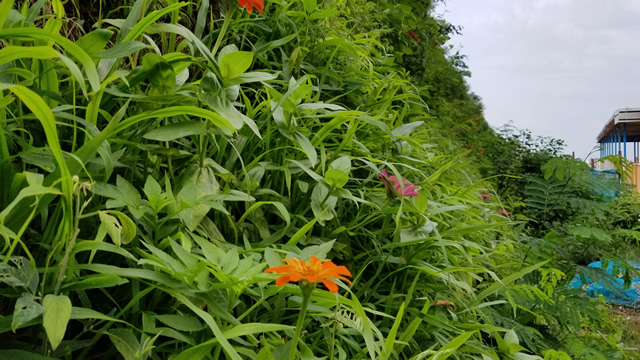 1585319927716966.jpg 4.jpg