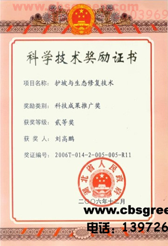 1585553775172537.jpg 41.jpg