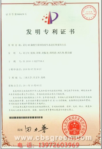 1585554631146681.jpg 91.jpg