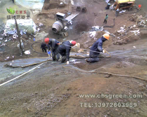 1602212479602946.jpg 3.jpg