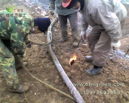 1602212494947053.jpg 4.jpg