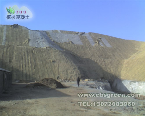 1602212505604270.jpg 5.jpg