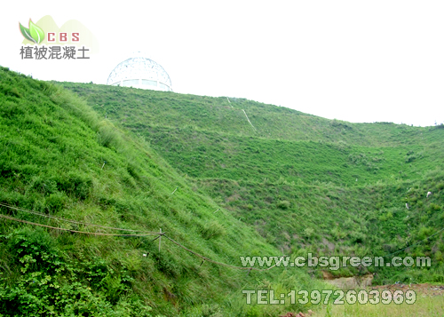 1602212551853919.jpg 8.jpg