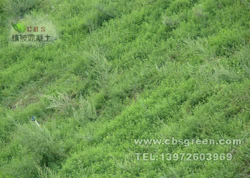 1602212557595433.jpg 9.jpg