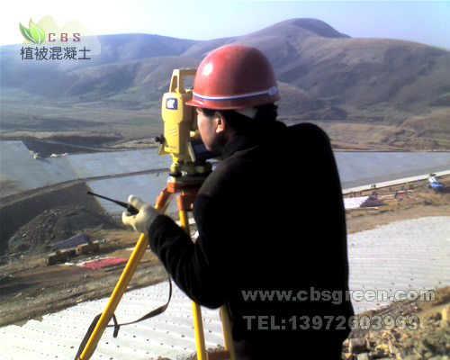 1602212571777462.jpg 10.jpg