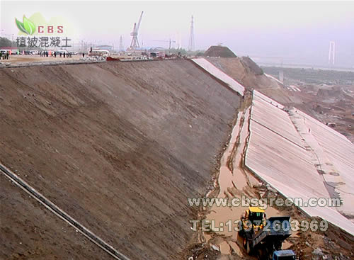 1602212844692715.jpg 1.jpg