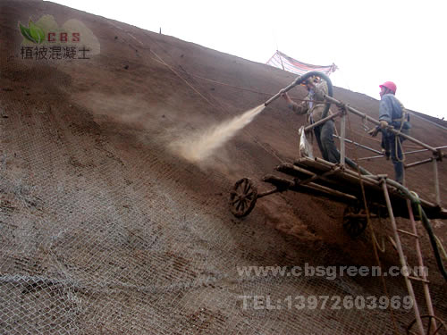 1602212854290234.jpg 2.jpg