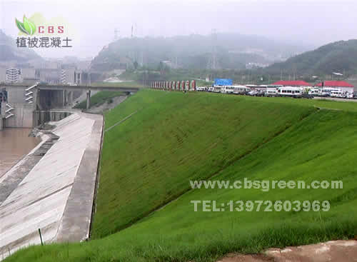 1602212880514109.jpg 4.jpg