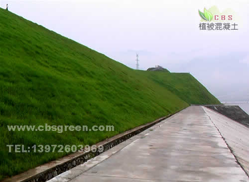 1602212910461472.jpg 6.jpg