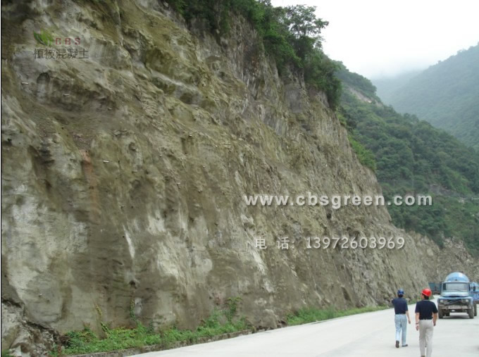 1602213320933605.jpg 1.jpg