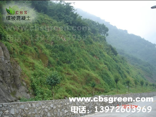 1602213560764904.jpg 2.jpg