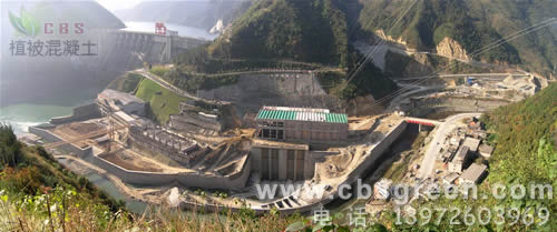 1602213695929053.jpg 1.jpg