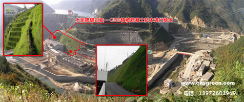 1602213710608518.jpg 2.jpg