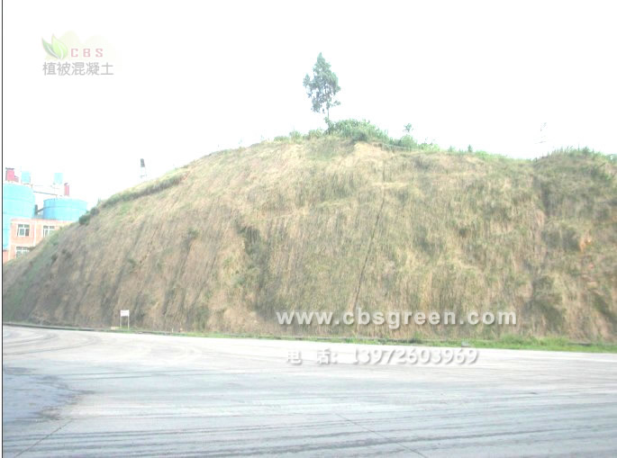 1602213882883369.jpg 1.jpg