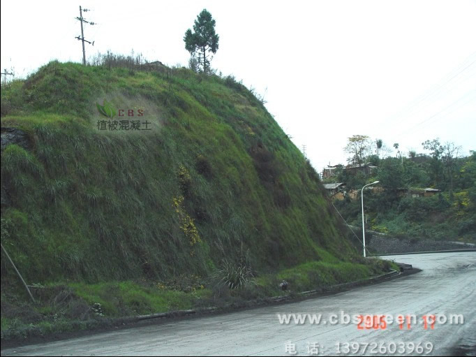 1602213906732313.jpg 3.jpg