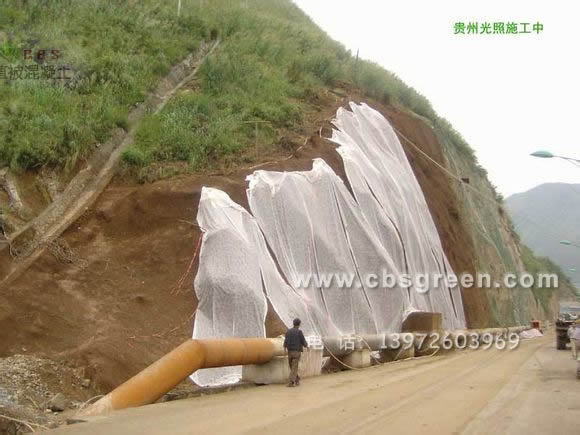 1602214010555856.jpg 1.jpg