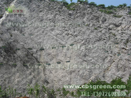 1602226543412600.jpg 1.jpg