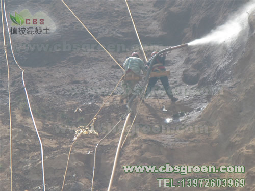 1602226566145391.jpg 2.jpg