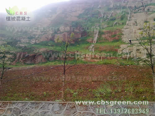 1602226578166336.jpg 3.jpg