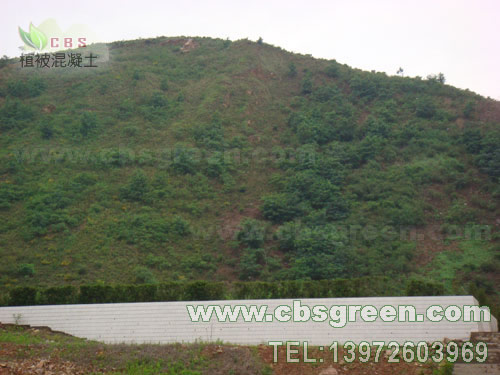 1602226751878167.jpg 4.jpg