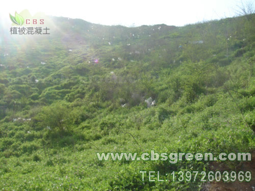 1602226764951098.jpg 5.jpg