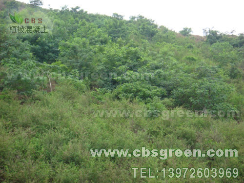 1602226775298198.jpg 6.jpg