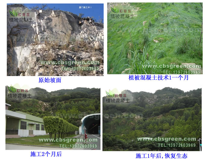 1602226887371785.jpg 1.jpg