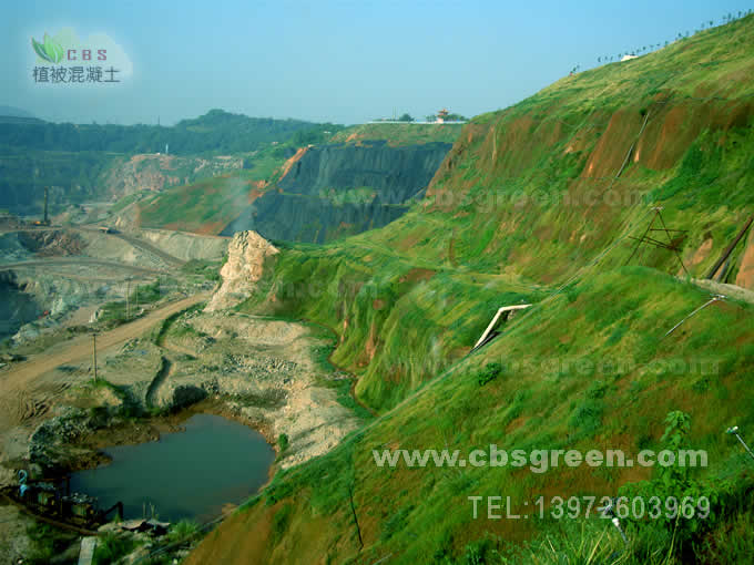 1602227196732800.jpg 3.jpg