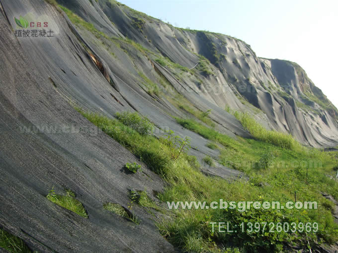 1602227311838968.jpg 8.jpg