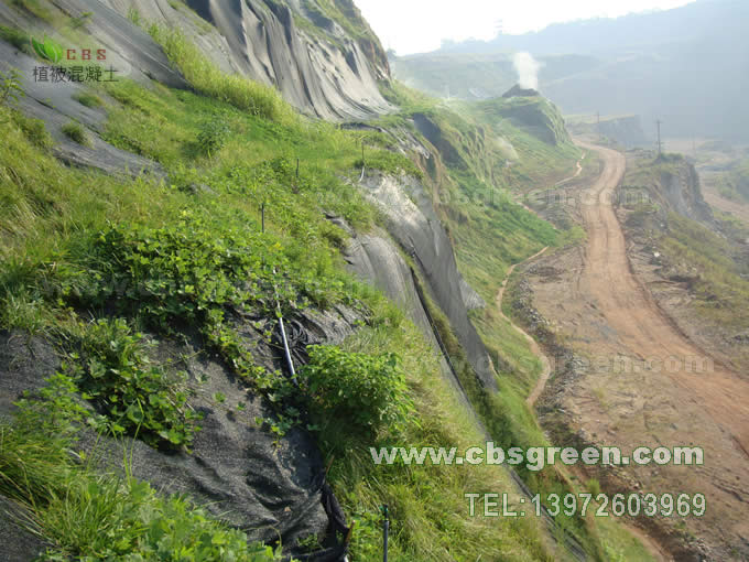 1602227325771679.jpg 9.jpg