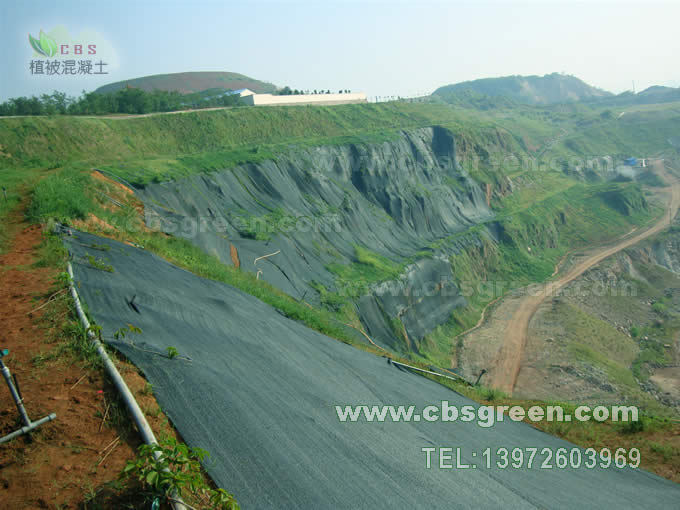 1602227338376318.jpg 10.jpg