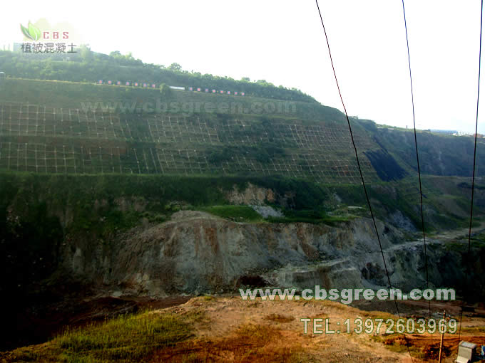 1602227376278589.jpg 13.jpg