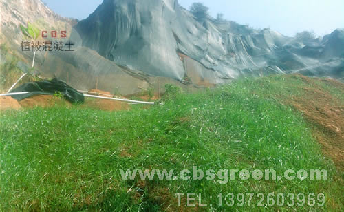 1602227584447671.jpg 5.jpg