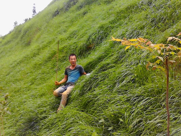 1602227591353596.jpg 7.jpg