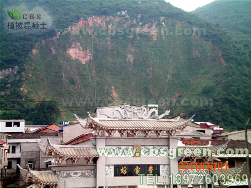 1602227874471928.jpg 2.jpg