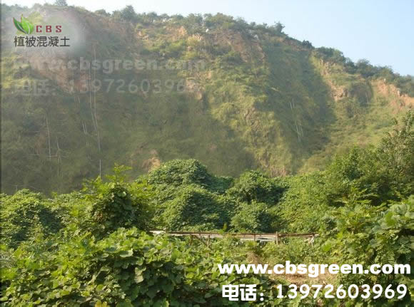 1602227906742148.jpg 7.jpg