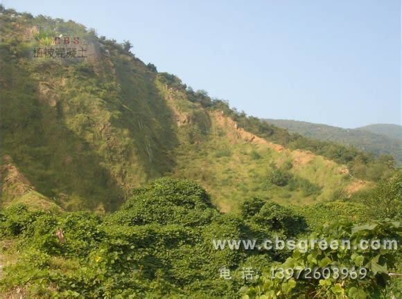 1602227910218837.jpg 8.jpg