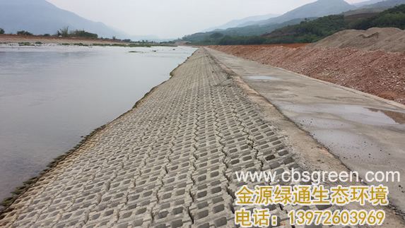 1602228500122463.jpg 1.jpg