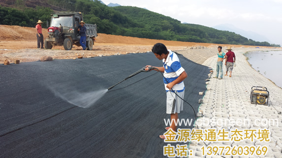 1602228549303391.jpg 5.jpg