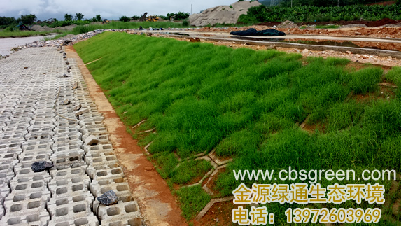 1602228561327831.jpg 6.jpg