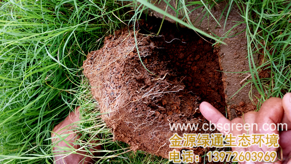 1602228599939488.jpg 8.jpg