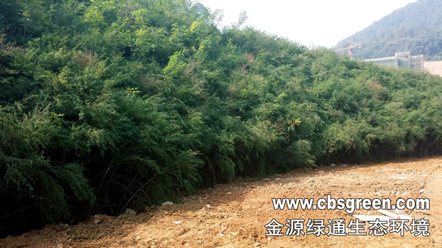 1602229418265758.jpg 6.jpg