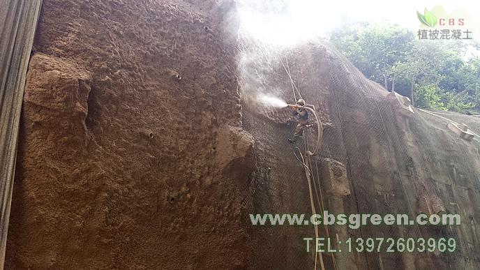 1602229627479623.jpg 1.jpg