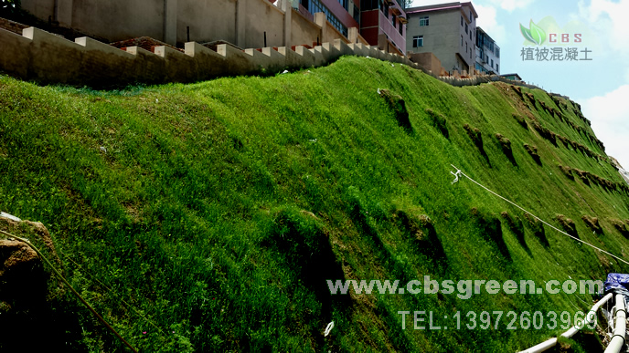 1602229641732182.jpg 4.jpg