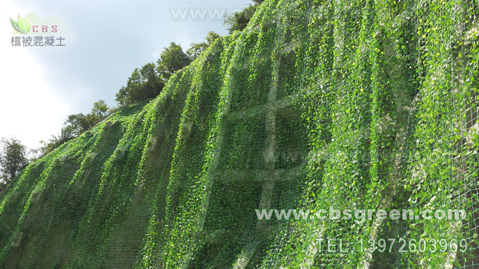 1602229747635095.jpg 2.jpg