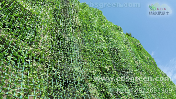 1602229751189799.jpg 3.jpg