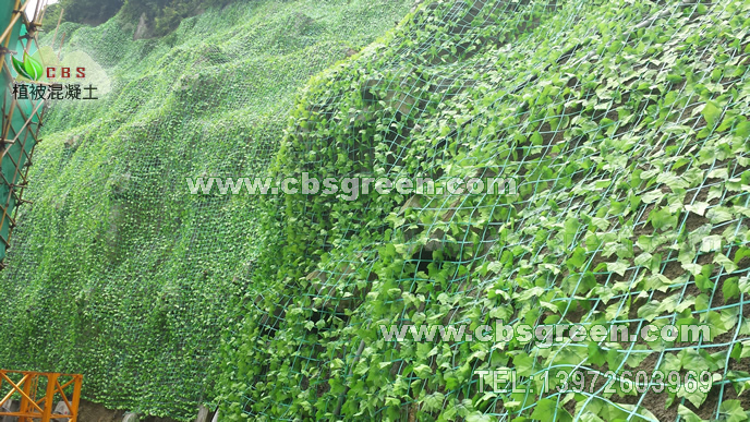 1602229756882803.jpg 4.jpg