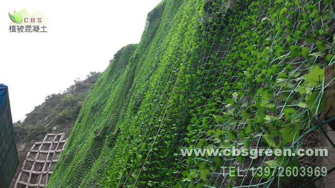 1602229764740705.jpg 6.jpg