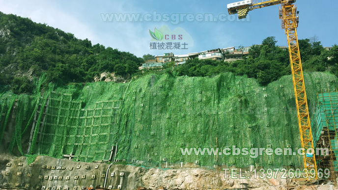 1602229770484768.jpg 7.jpg