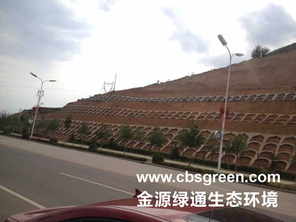 1602230305499191.jpg 1.jpg